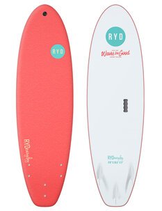 EVERYDAY 6'0-surf-Backdoor Surf