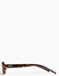 PAGE - CAPE TORTOISE MOSS POLARIZED