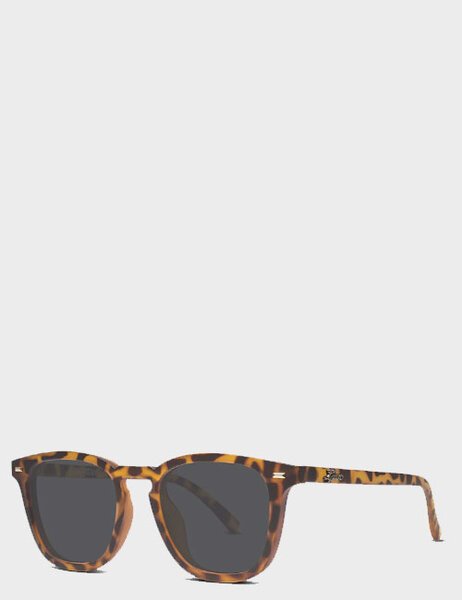Buy Sunglasses for Men Sunnies NZ Wide Delivery Backdoor